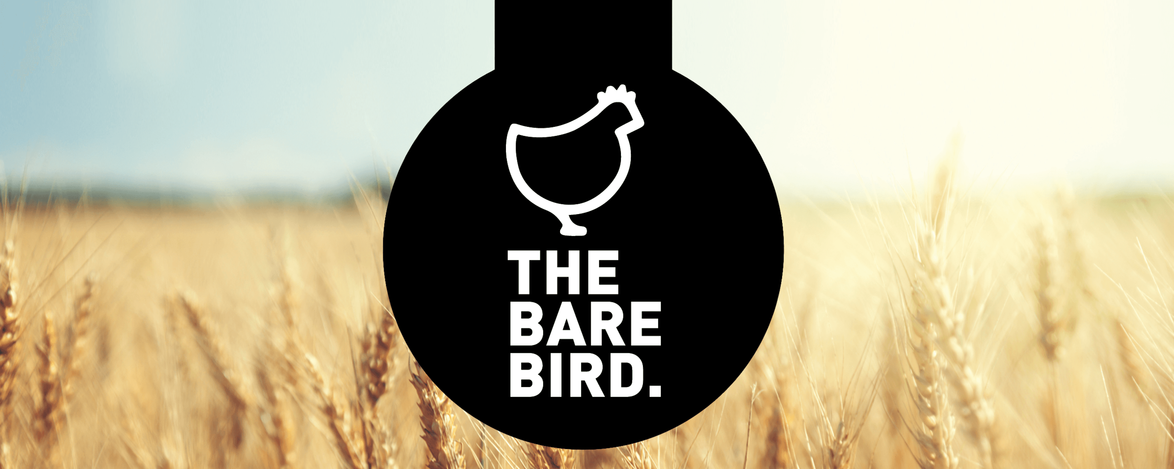 Bare Bird Banner 2