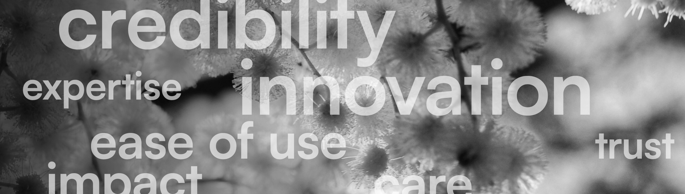 Web Banner Main Design